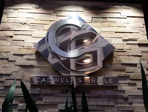 Vibrant Hair Color in Highland Park by Expert Colorist