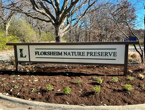 Vibrant Hair Color in Highland Park by Expert Colorist