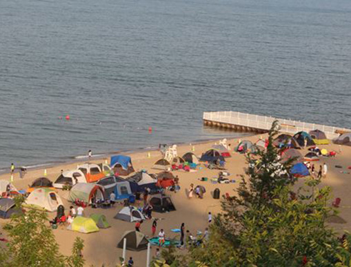 Vibrant Hair Color in Highland Park by Expert Colorist