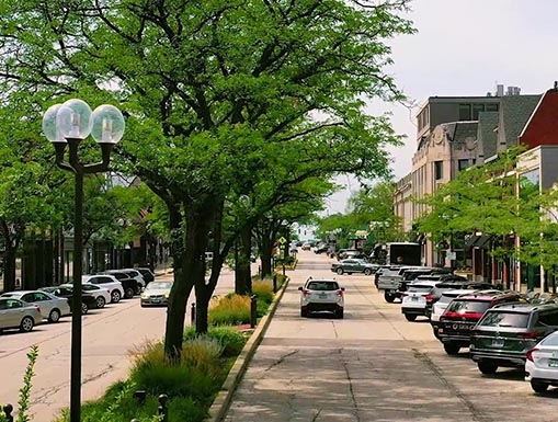 Vibrant Hair Color in Highland Park by Expert Colorist