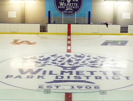 Vibrant Hair Color in Highland Park by Expert Colorist