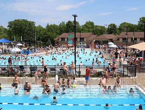 Vibrant Hair Color in Highland Park by Expert Colorist