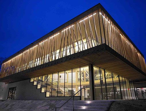 Vibrant Hair Color in Highland Park by Expert Colorist