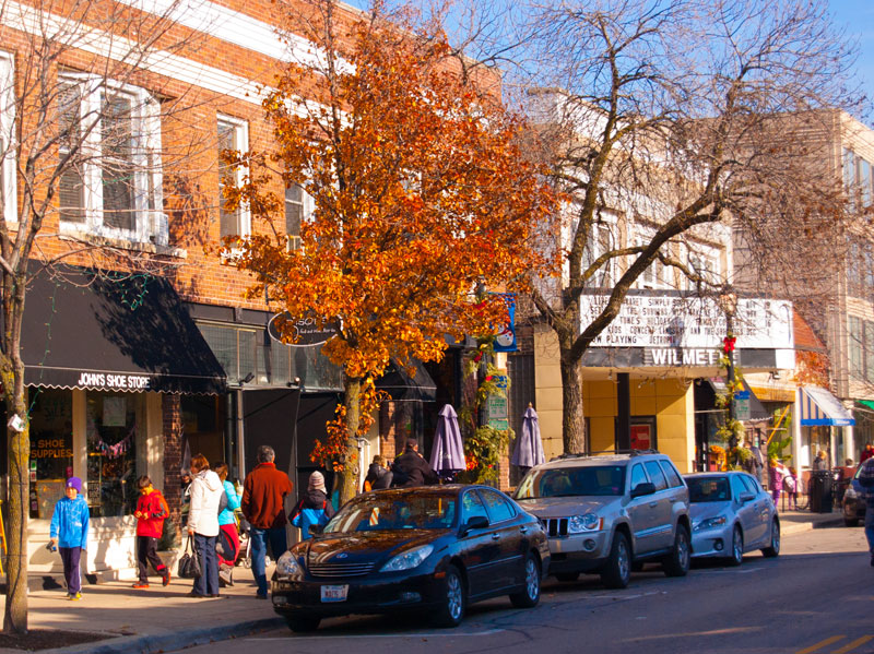 Vibrant Hair Color in Highland Park by Expert Colorist