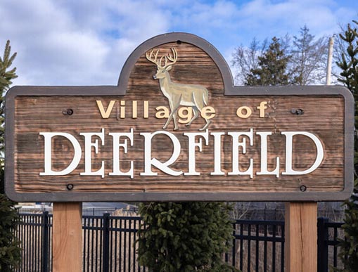 Vibrant Hair Color in Highland Park by Expert Colorist