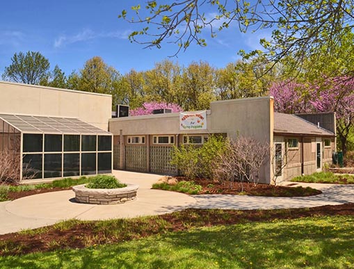 Vibrant Hair Color in Highland Park by Expert Colorist