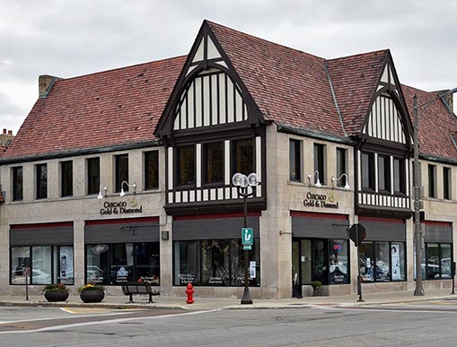 Vibrant Hair Color in Highland Park by Expert Colorist