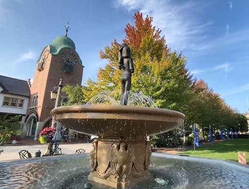 Vibrant Hair Color in Highland Park by Expert Colorist