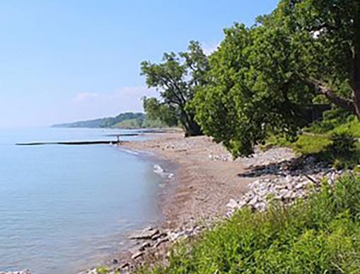 Vibrant Hair Color in Highland Park by Expert Colorist