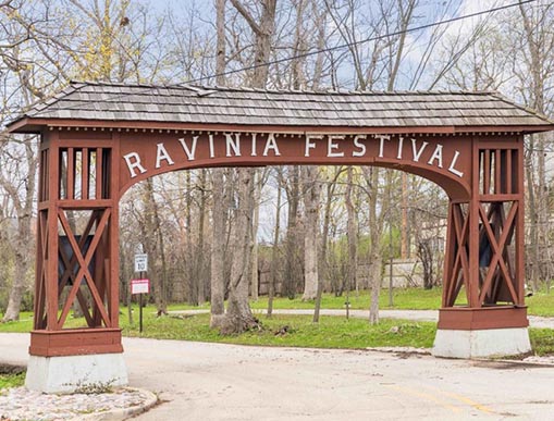 Vibrant Hair Color in Highland Park by Expert Colorist