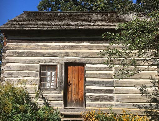 Vibrant Hair Color in Highland Park by Expert Colorist